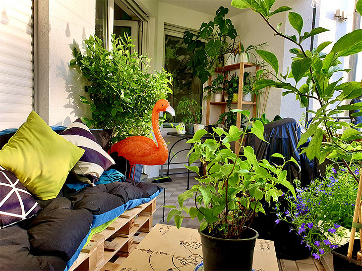 Ob Balkon, Fensterbank oder Urban Gardening: So verwandelst du dein Zuhause in eine grüne Oase  (Foto:iStock-KathiHinz) 